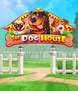 Pragmatic Play's The Dog House adventure, offering an adorable adventure into the world of playful pups. Engage in gameplay elements including multipliers, designed for delivering exciting wins. Ideal for pet lovers a lighthearted atmosphere with a chance for big wins.